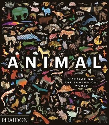 Animal Exploring the Zoological World