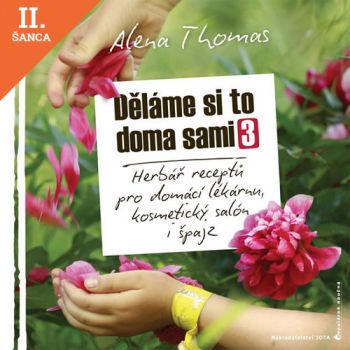Lacná kniha Děláme si to doma sami 3
