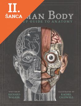 Lacná kniha The Human Body