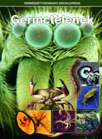 Gerinctelenek - Természettudományi enciklopédia 12.