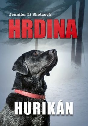 Hrdina (2): Hurikán