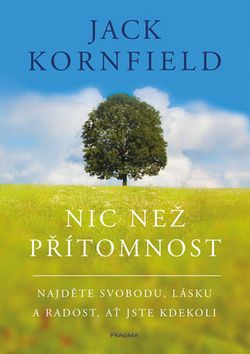 Nic než přítomnost
