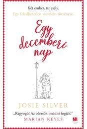 Egy decemberi nap