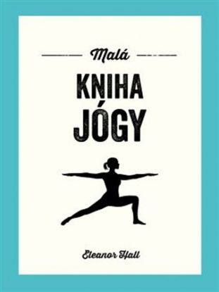 Malá kniha jógy