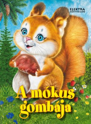 A mókus gombája