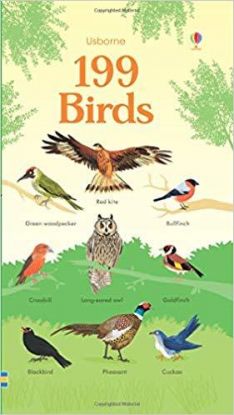 199 Birds