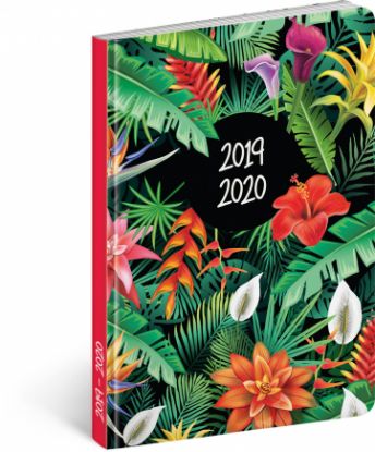 18mesačný diár Petito – Tropic 2019/2020, 11 × 17 cm