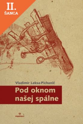 Lacná kniha Pod oknom našej spálne