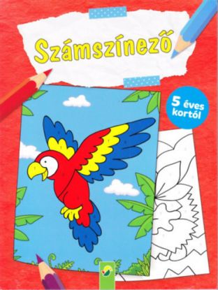 Számszínező (papagáj) - 5 éves kortól