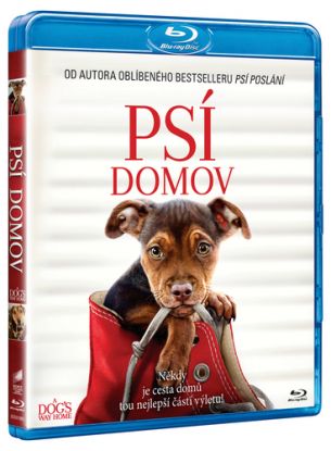 Psí domov BD