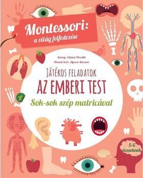 Az emberi test-Montessori - A világ felfedezése