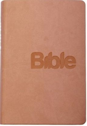 Bible (pudrová - imitace kůže)