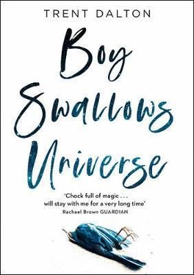 Boy Swallows Universe