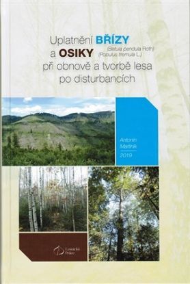 Uplatnění břízy a osiky při obnově a tvorbě lesa po disturbancích