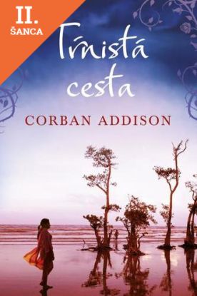 Lacná kniha Tŕnistá cesta
