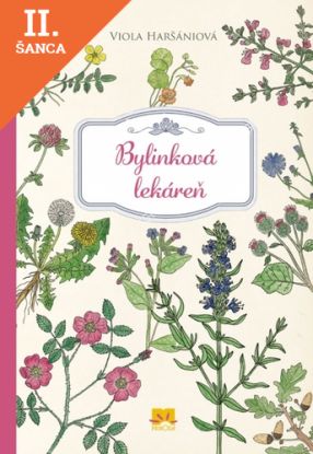 Lacná kniha Bylinková lekáreň