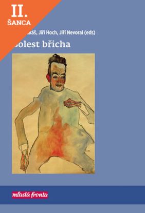 Lacná kniha Bolest břicha