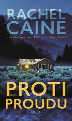 Proti proudu