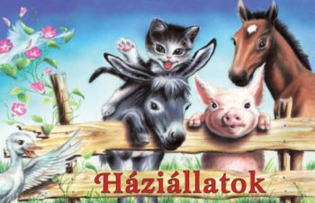 Háziállatok