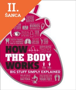 Lacná kniha How the Body Works