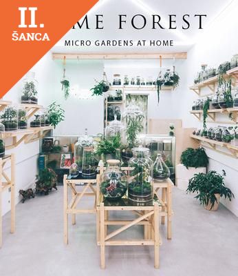 Lacná kniha Home Forest - Micro Gardens at Home