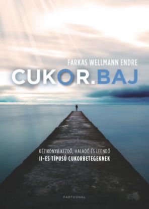 Cukor.baj - Kézikönyv kezdő, haladó és leendő II-es típusú cukorbetegeknek