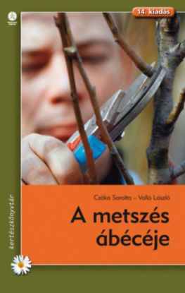 A metszés ábácéje