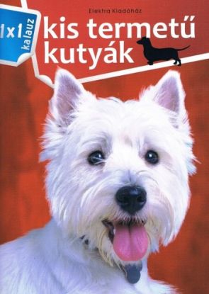 Kis termetű kutyák - 1x1 kalauz
