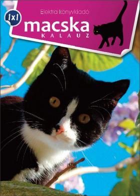 Macska kalauz