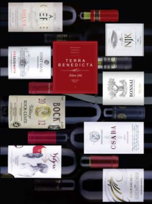 Terra Benedicta - Áldott föld - Több mint Tokaj?
