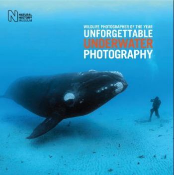 Wildlife Photographer of the Year