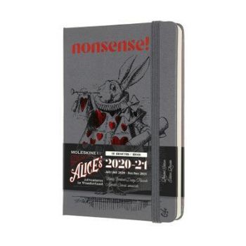 Diár MOLESKINE 18m 2020-2021 týždenný AinW šedý S