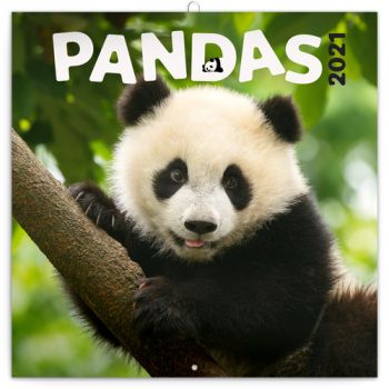 Poznámkový kalendár Pandy 2021