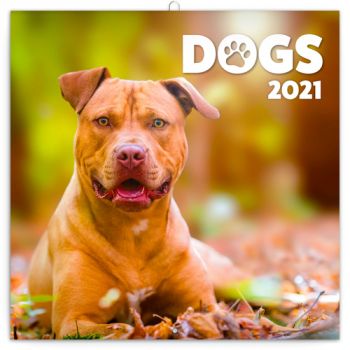 Poznámkový kalendár Psy 2021