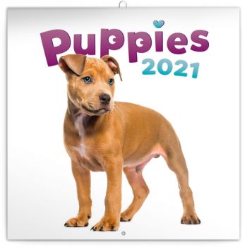 Poznámkový kalendár Šteniatka 2021