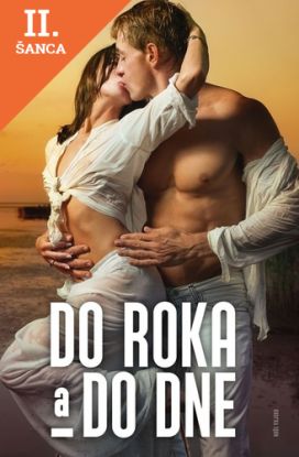 Lacná kniha Do roka a do dne