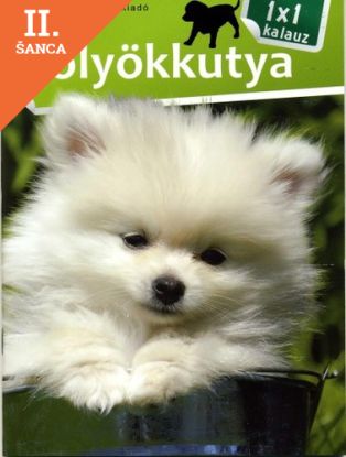 Lacná kniha Kölyökkutya - 1x1 kalauz