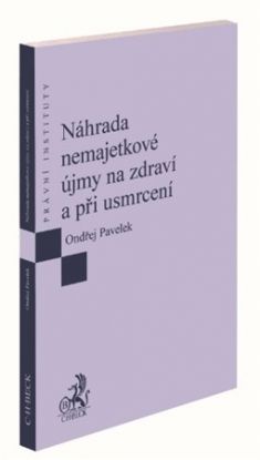 Náhrada nemajetkové újmy na zdraví a při usmrcení