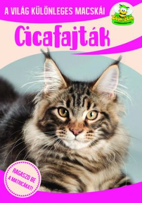 Cicafajták - A világ különleges macskái