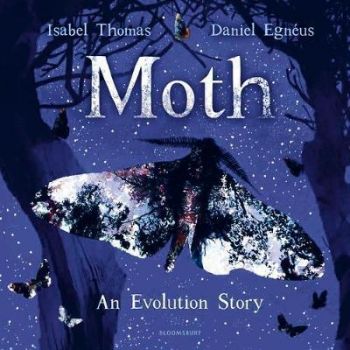 Moth