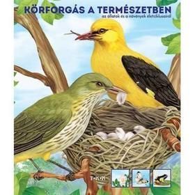Körforgás a természetben