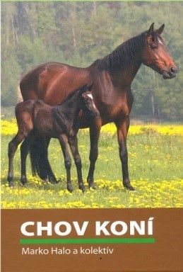 Chov koní