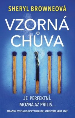Vzorná chůva
