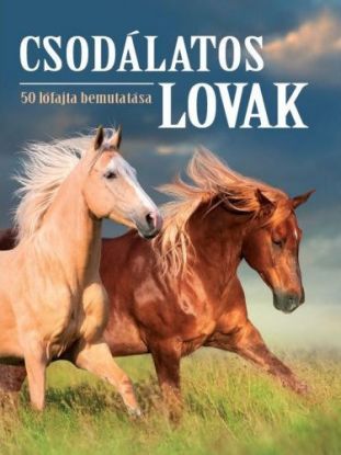 Csodálatos lovak - 50 lófajta bemutatása