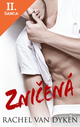 Lacná kniha Zničená