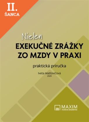 Lacná kniha Nielen exekučné zrážku zo mzdy v praxi