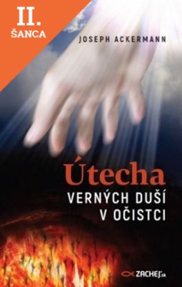 Lacná kniha Útecha verných duší v očistci