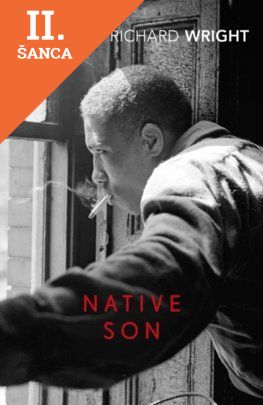 Lacná kniha Native Son