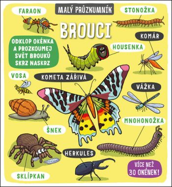 Brouci