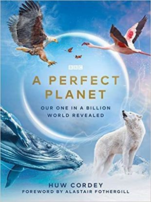 Perfect Planet